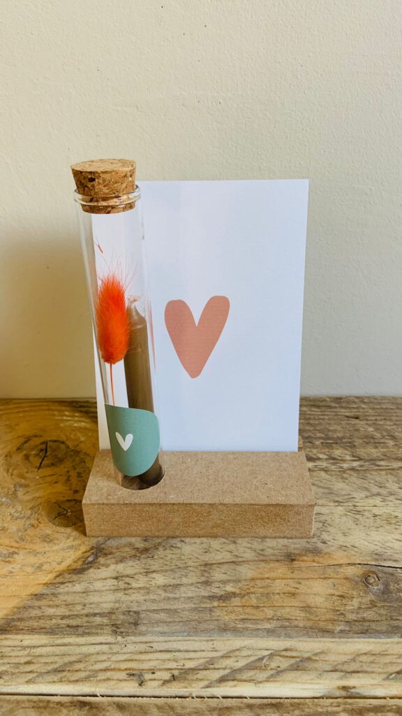 Giftbox buisje 'flessenpost' en kaartenset